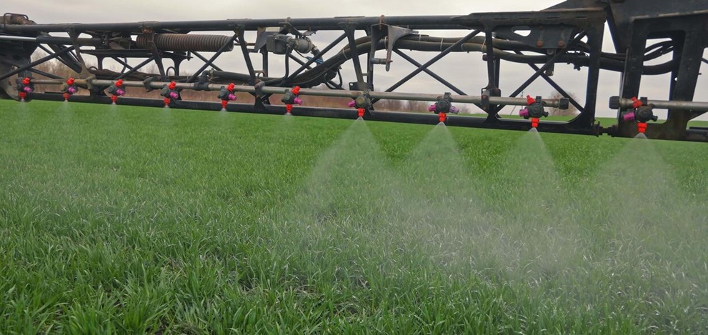 trigo verde aplicacion foliar